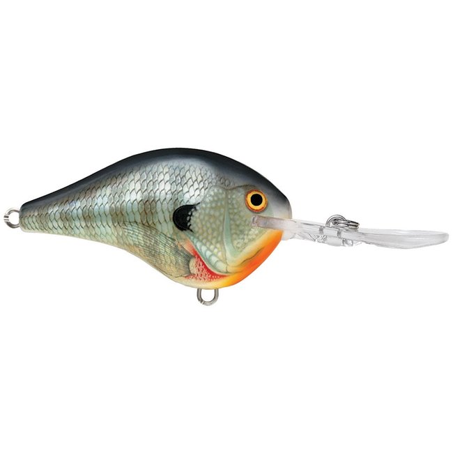 RAPALA DT6 Crankbaits