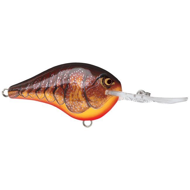 RAPALA DT6 Crankbaits