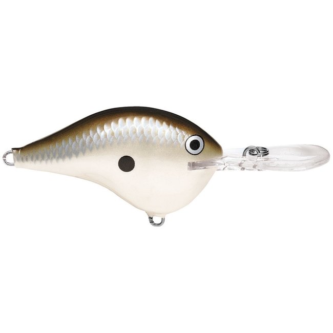 RAPALA DT6 Crankbaits