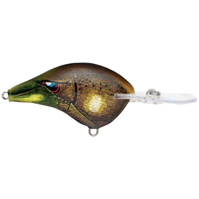 RAPALA DT6 Crankbaits