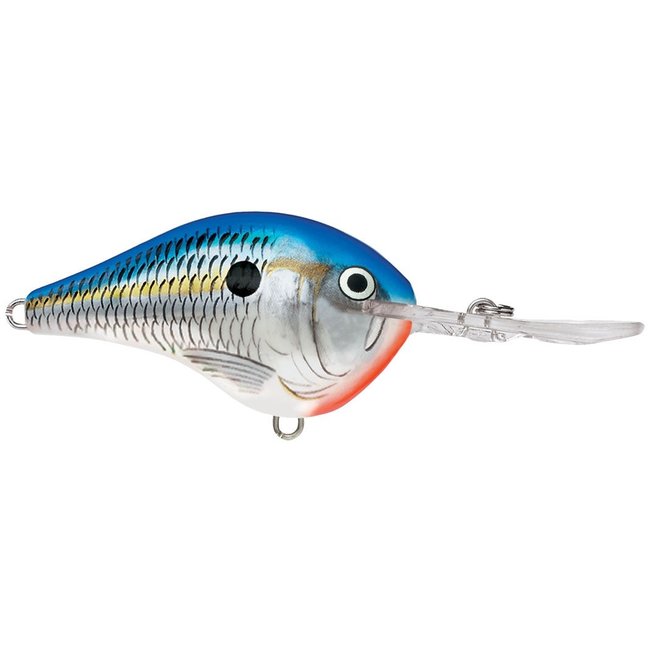 RAPALA DT6 Crankbaits