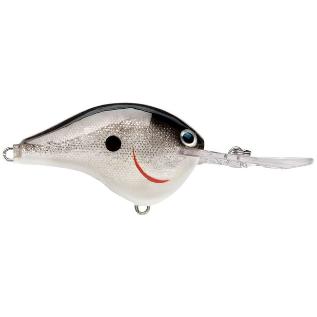 RAPALA DT6 Crankbaits