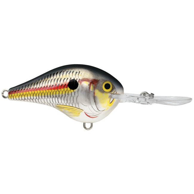 RAPALA DT6 Crankbaits