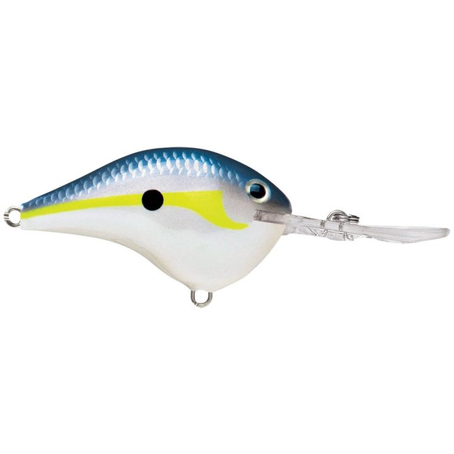 RAPALA DT6 Crankbaits