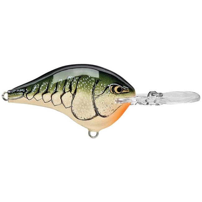 RAPALA DT6 Crankbaits