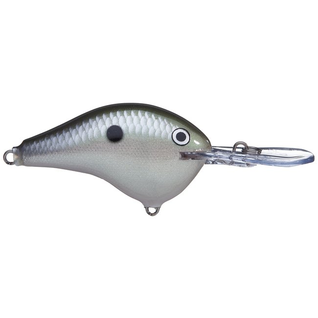 RAPALA DT6 Crankbaits