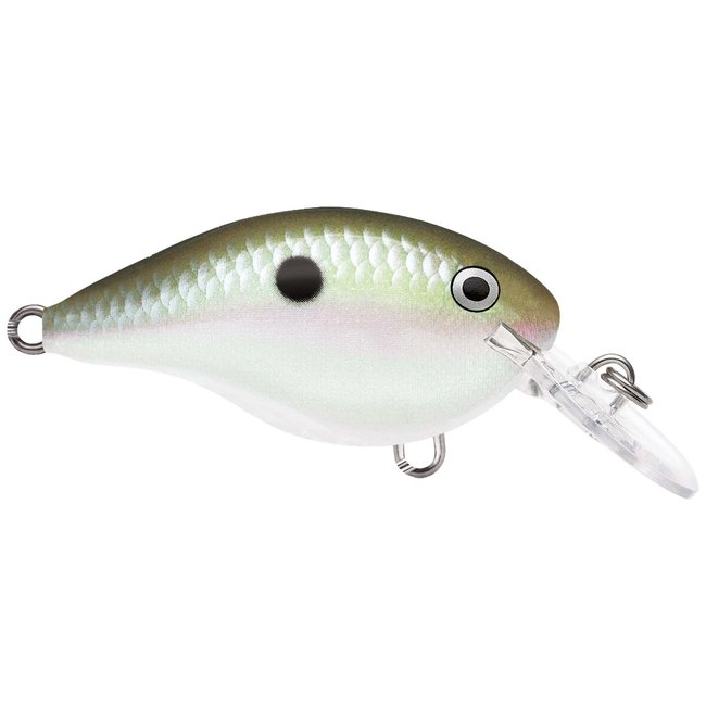RAPALA DT10 Crankbaits