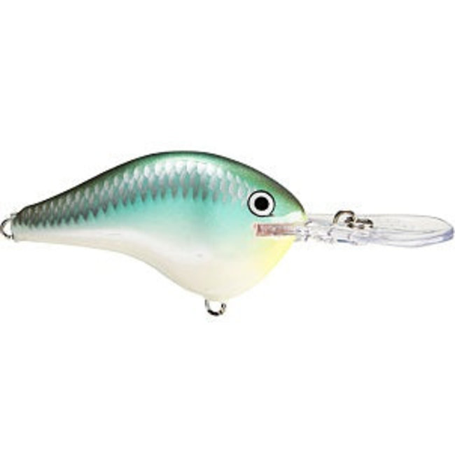 RAPALA DT6 Crankbaits