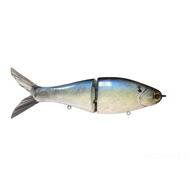 Paperweight (Fish Everything)