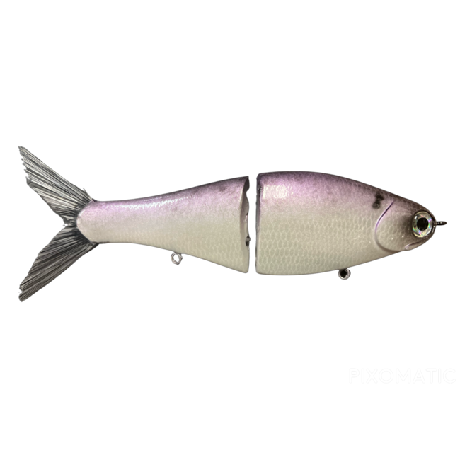 Paperweight (Fish Everything)