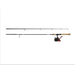 Daiwa D Turbo Spincast