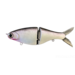 Paperweight (Fish Everything)