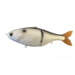 Big Game Customs BGC 7" Shad