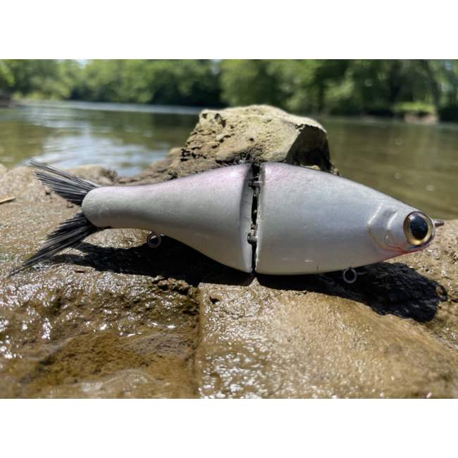 Paperweight (Fish Everything)