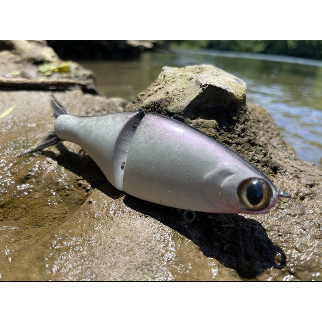 Paperweight (Fish Everything)