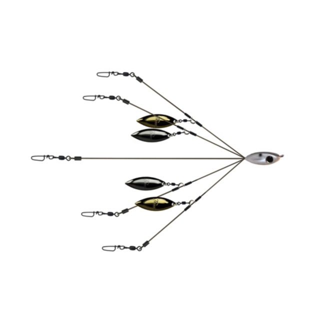 Picasso A-Rig School-E-Rig Bait Ball FINESSE