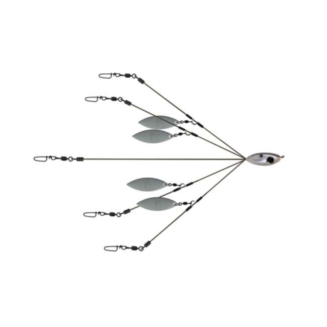 Picasso A-Rig School-E-Rig Bait Ball FINESSE