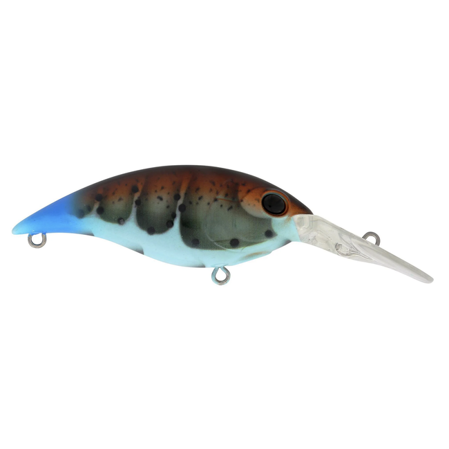 Berkley Money Badger