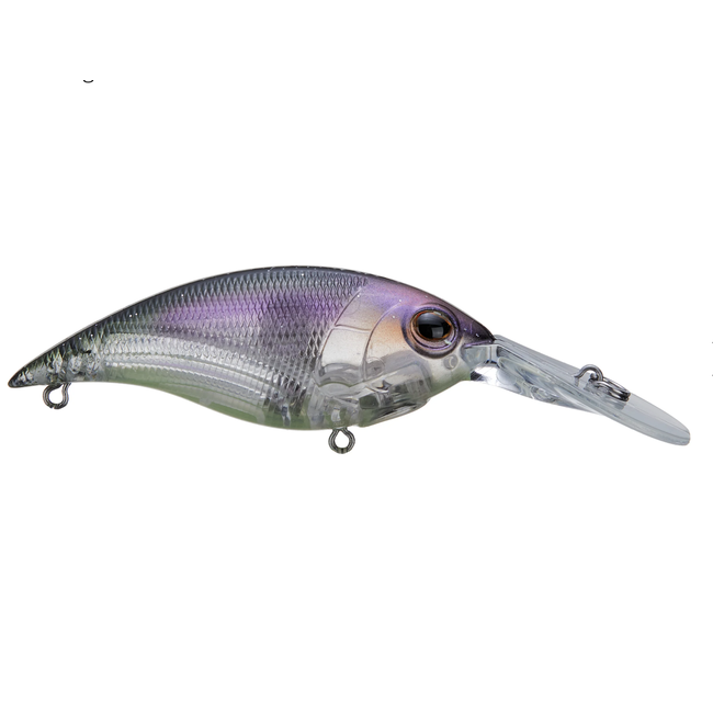 Berkley Money Badger