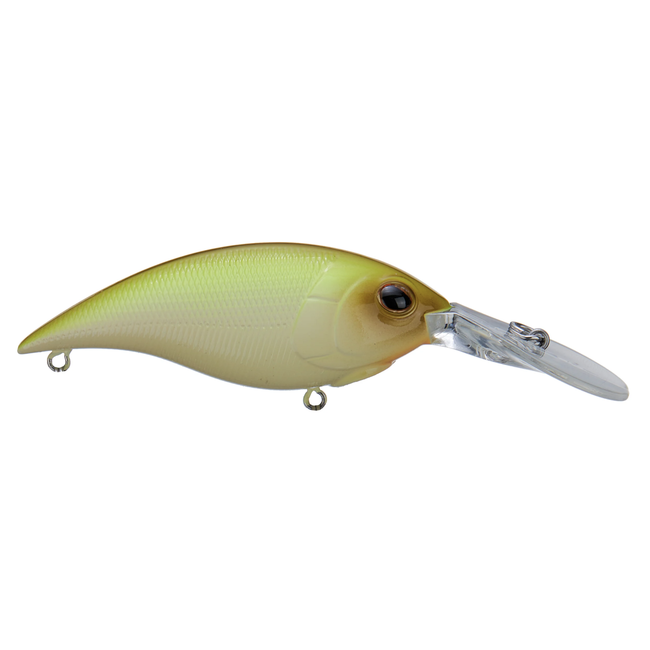 Berkley Money Badger