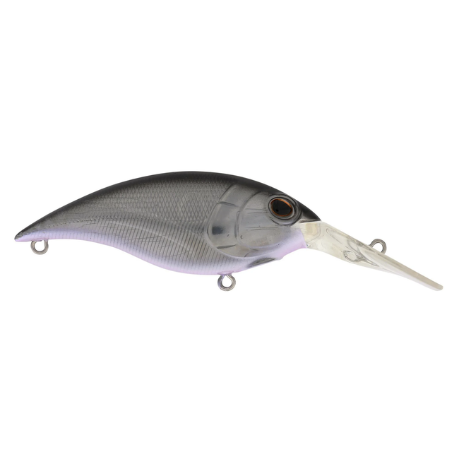 Berkley Money Badger