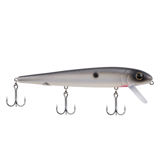 Berkley Surge Shad