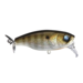 Deps BUZZJET Jr.
