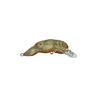 Rebel Rebel Crawfish Moss Crawfish Big Craw
