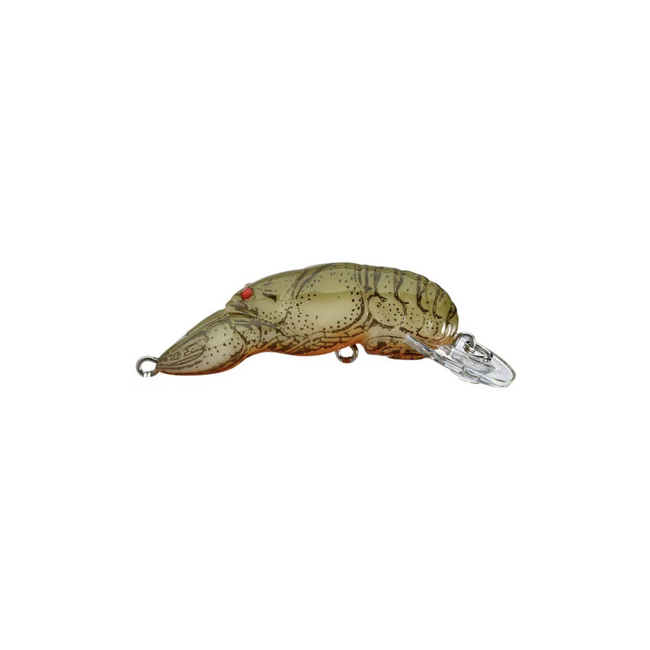 Rebel Rebel Crawfish Moss Crawfish Big Craw