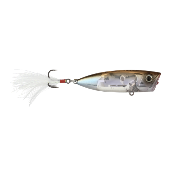 Shimano World Pop 69F Popper