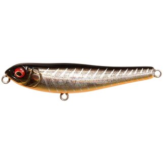 ルアー・フライ Megabass DOG-X Jr. COAYU Dog X Jr. COAYU BFS - Modern Outdoor Tackle