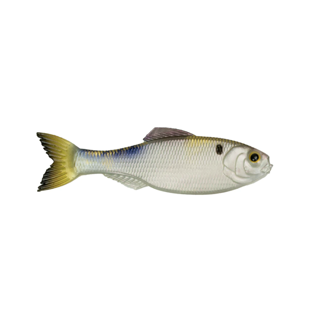 6th Sense Fishing Panorama
