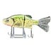 KGB KGB Crappie June 24'