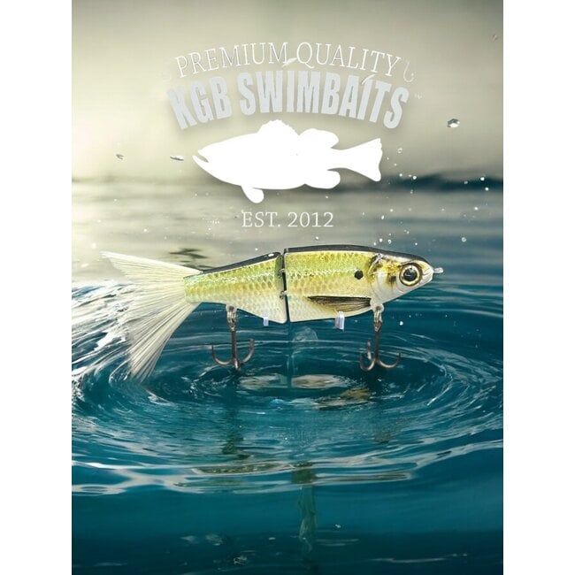 KGB KGB Chad Shad Drop Sept 24'