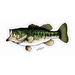 Fish Decal