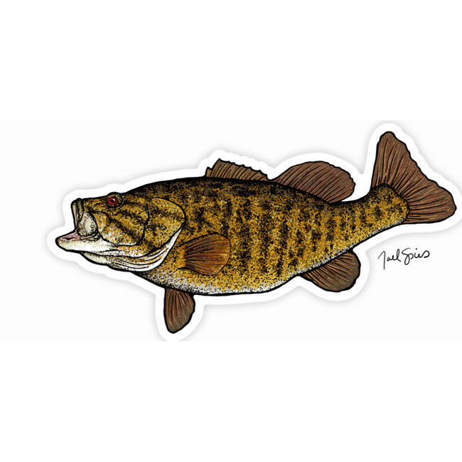 Fish Decal
