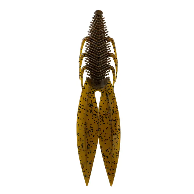 6th Sense Fishing Bodega