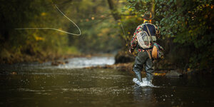 Lake Taneycomo Bass Fishing: The Secret Fishery Below the Trout Zone