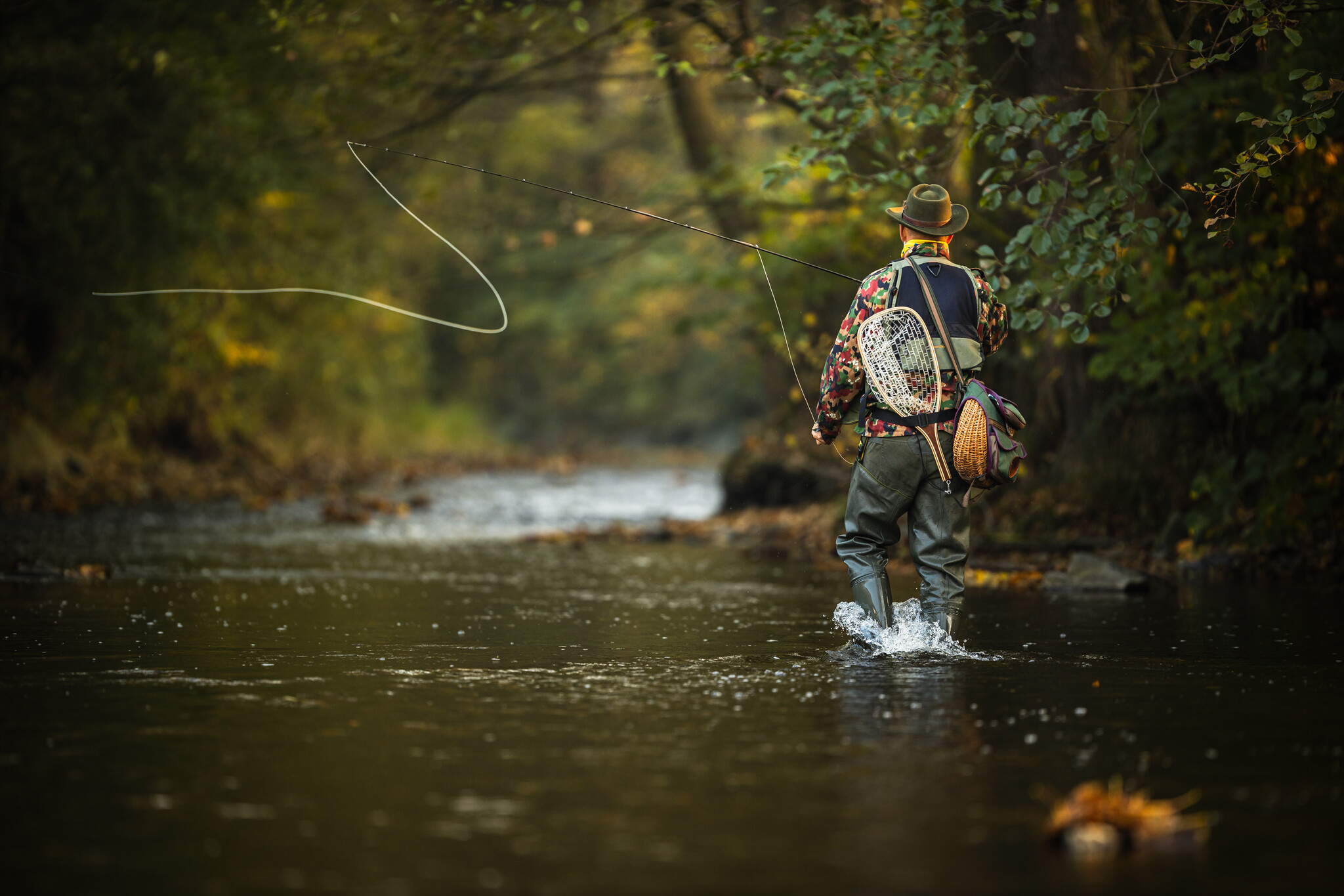 Lake Taneycomo Bass Fishing: The Secret Fishery Below the Trout Zone