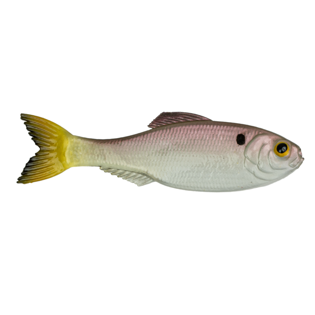 6th Sense Fishing Panorama Swimbait Rigged