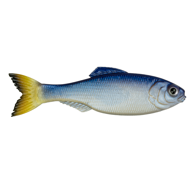 6th Sense Fishing Panorama Swimbait Rigged