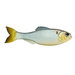 6th Sense Fishing Panorama Swimbait Rigged