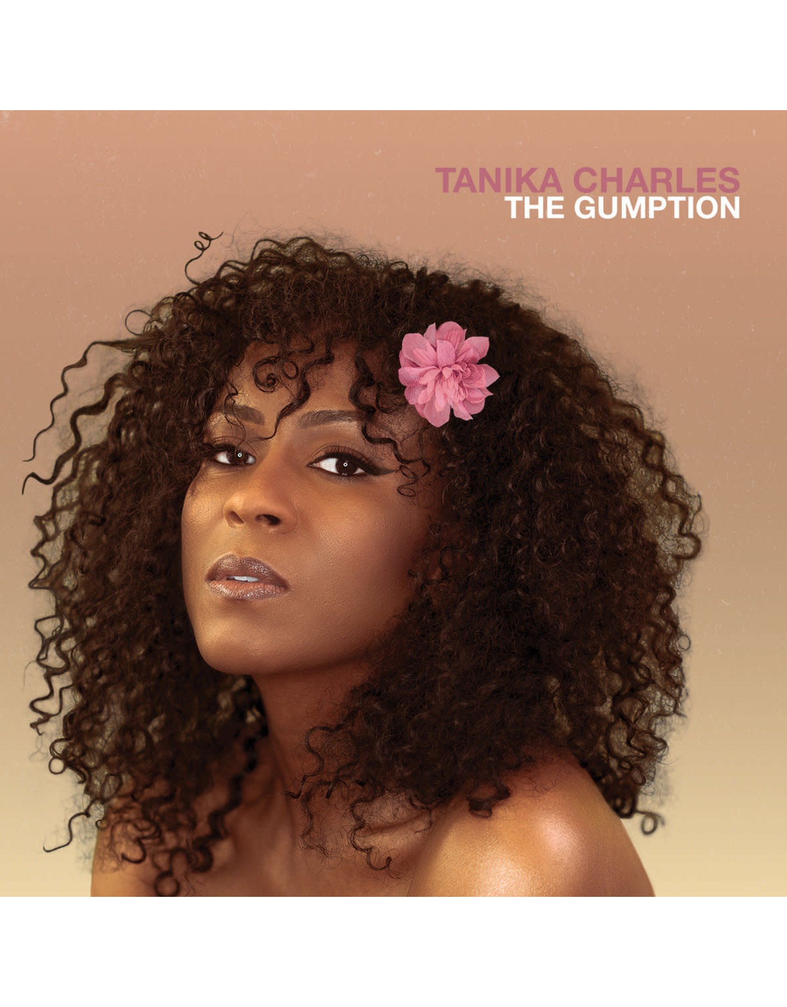 Charles, Tanika - The Gumption LP