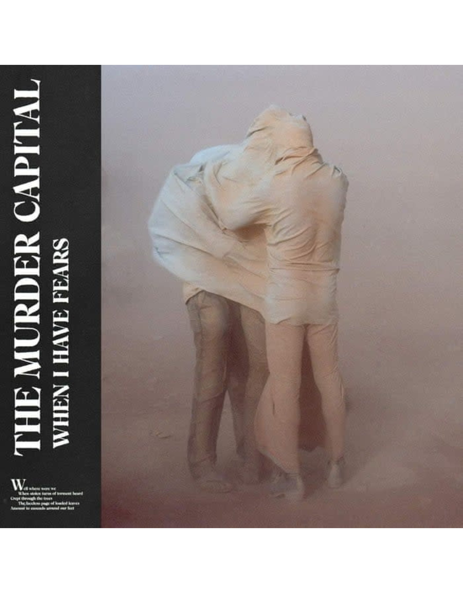 Murder Capital - When I Have Fears LP