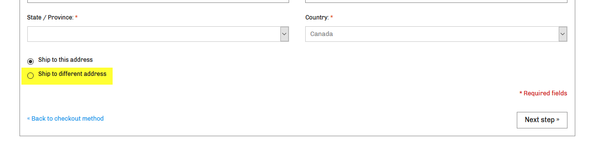 A screenshot of the checkout process, highlighting the "ship to a different address" option