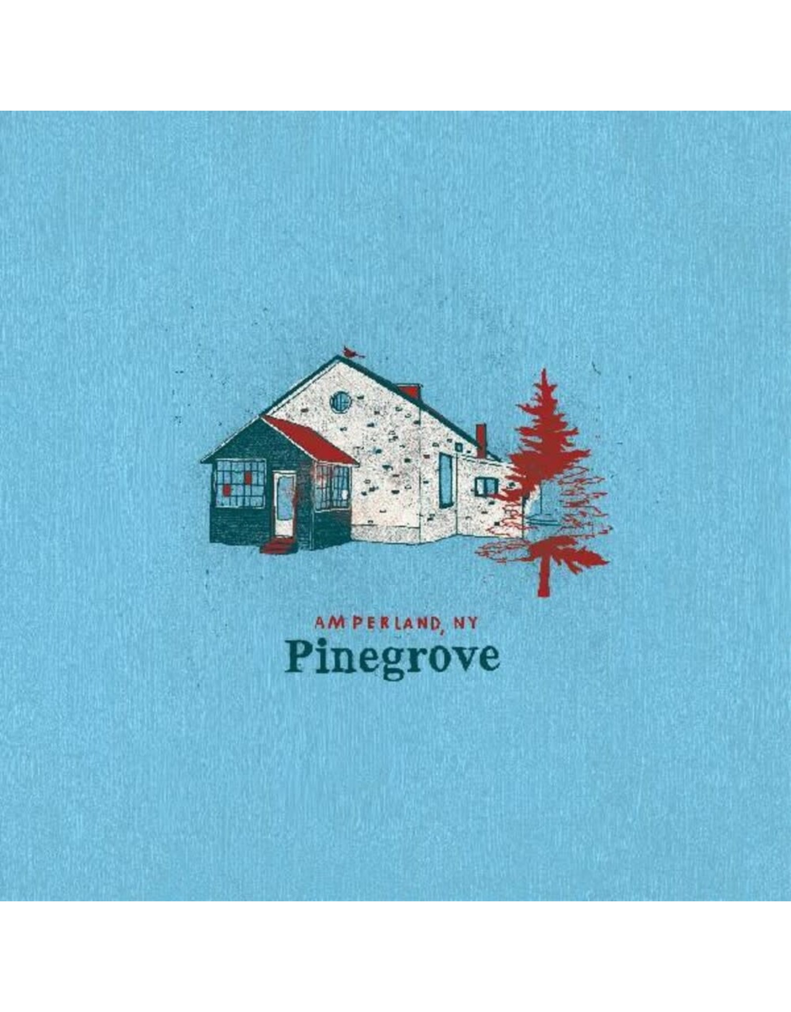 Pinegrove - Amperland, NY LP