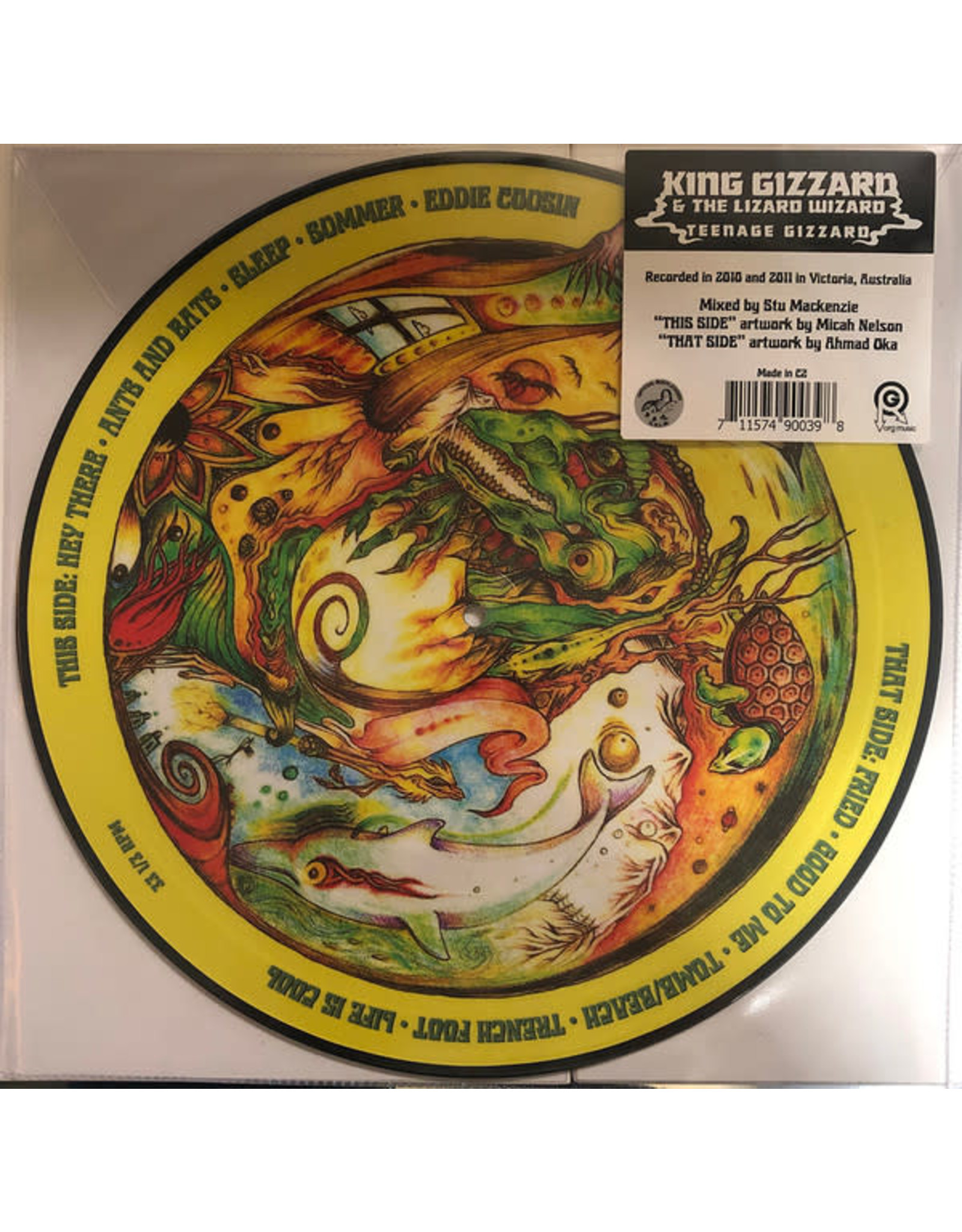King Gizzard & The Lizard Wizard - Teenage Gizzard (Picture Disc) LP