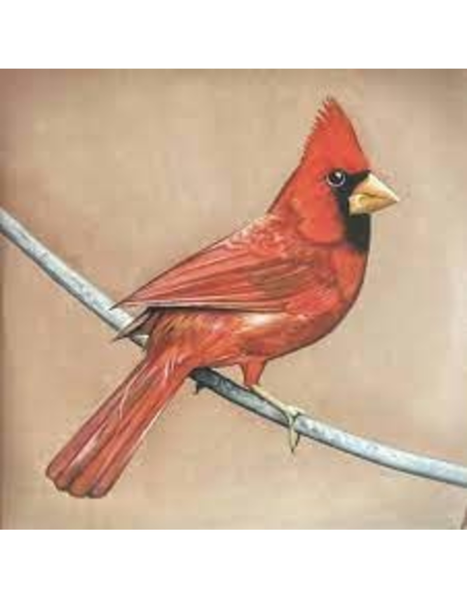 Alexisonfire - Old Crows / Young Cardinals LP