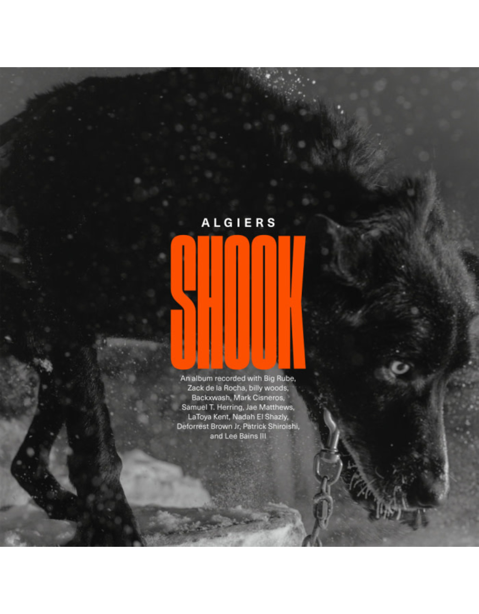 Algiers - Shook (Ltd. Gold Vinyl) LP