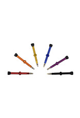 Fair Wheel Bikes FWB Tubeless Valves